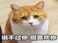 晋城睿健营网络科技有限公司