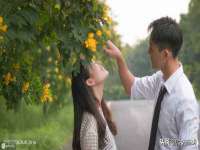 晋城睿健营网络科技有限公司