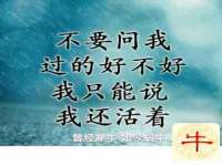晋城睿健营网络科技有限公司