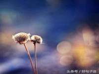 晋城睿健营网络科技有限公司