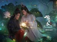 晋城睿健营网络科技有限公司