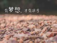 晋城睿健营网络科技有限公司