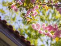 晋城睿健营网络科技有限公司