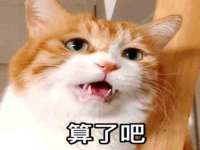 晋城睿健营网络科技有限公司