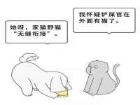 晋城睿健营网络科技有限公司