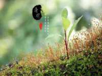 晋城睿健营网络科技有限公司