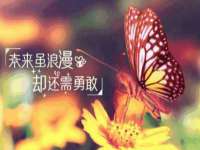晋城睿健营网络科技有限公司
