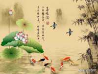 晋城睿健营网络科技有限公司
