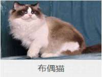 晋城睿健营网络科技有限公司