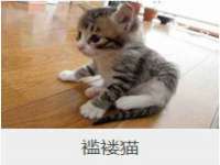 晋城睿健营网络科技有限公司