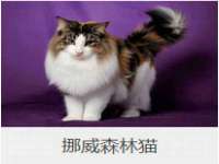 晋城睿健营网络科技有限公司