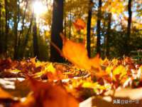 晋城睿健营网络科技有限公司