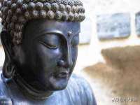 晋城睿健营网络科技有限公司