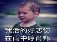 晋城睿健营网络科技有限公司