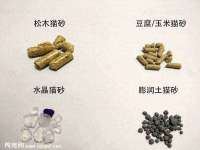 晋城睿健营网络科技有限公司