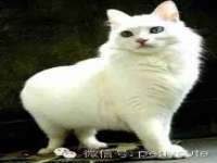 晋城睿健营网络科技有限公司