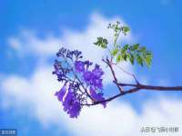 晋城睿健营网络科技有限公司