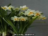 晋城睿健营网络科技有限公司