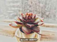 晋城睿健营网络科技有限公司