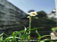 晋城睿健营网络科技有限公司