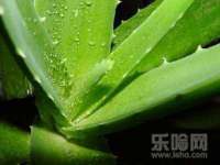 晋城睿健营网络科技有限公司