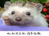晋城睿健营网络科技有限公司