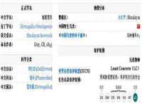 晋城睿健营网络科技有限公司