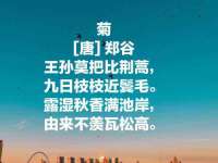晋城睿健营网络科技有限公司