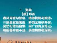 晋城睿健营网络科技有限公司