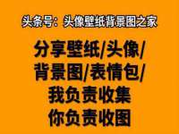 晋城睿健营网络科技有限公司