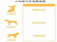 晋城睿健营网络科技有限公司