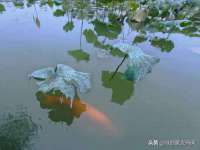 晋城睿健营网络科技有限公司