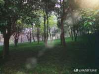晋城睿健营网络科技有限公司