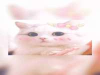 晋城睿健营网络科技有限公司