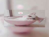 晋城睿健营网络科技有限公司