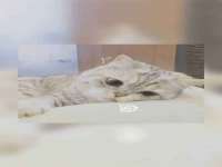 晋城睿健营网络科技有限公司
