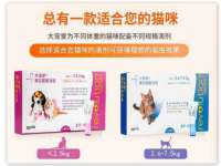 晋城睿健营网络科技有限公司