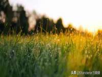晋城睿健营网络科技有限公司