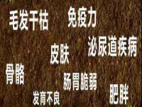 晋城睿健营网络科技有限公司