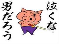 晋城睿健营网络科技有限公司