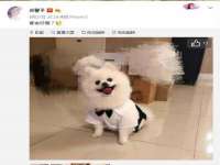 晋城睿健营网络科技有限公司