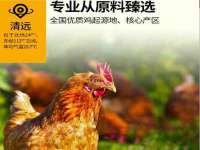 晋城睿健营网络科技有限公司
