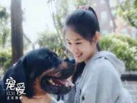 晋城睿健营网络科技有限公司
