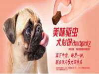 晋城睿健营网络科技有限公司
