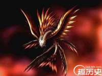 晋城睿健营网络科技有限公司