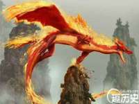 晋城睿健营网络科技有限公司