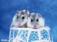 晋城睿健营网络科技有限公司