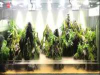 晋城睿健营网络科技有限公司