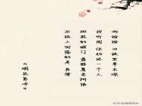 晋城睿健营网络科技有限公司