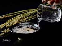 晋城睿健营网络科技有限公司
